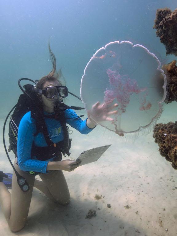 一个穿着潜水装备的学生在水下研究水母